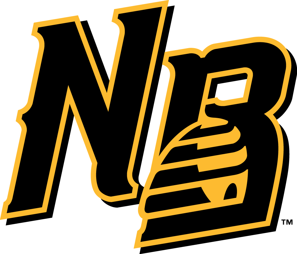 New Britain Bees 2016-Pres Secondary Logo iron on transfers for clothing